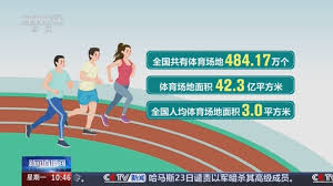 BB贝博艾弗森官网 室内健身器材踏步机